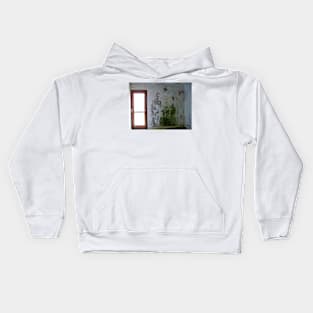 Mouldy Wall Kids Hoodie